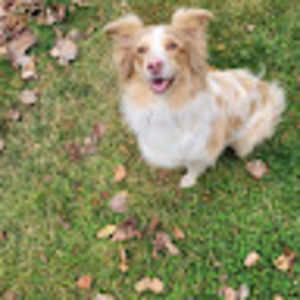 Meet your Posher, Robert